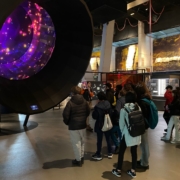IMG-20231205-WA0019