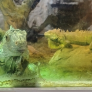 IMG_20250605_105417452_HDR