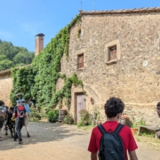 PXL_20250616_084721469